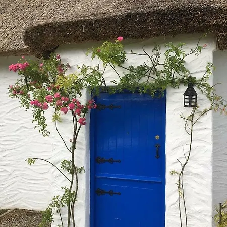 Dunguaire Thatched 別荘 ゴールウェイ